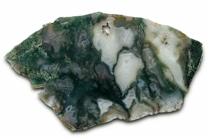 Polished Bear Creek Moss Agate Slab - Oregon #334988